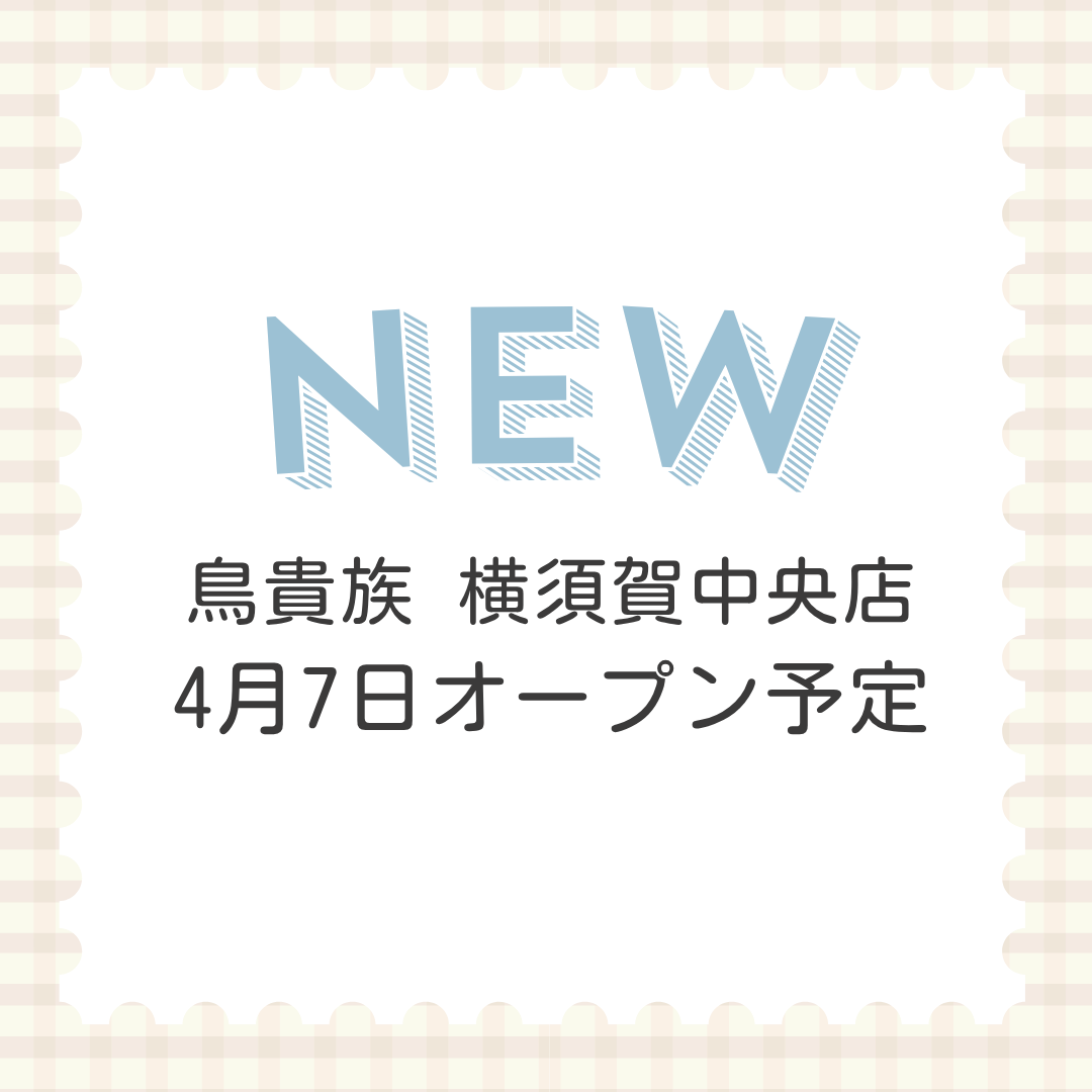 鳥貴族 横須賀中央店